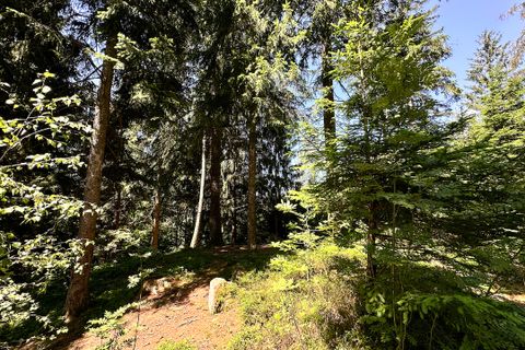 Terra a Collio, Brescia, Collio - € 159.000 | Ref: ATL01.004 - foto 20