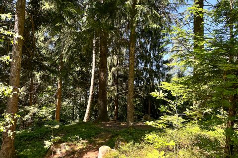 Terra a Collio, Brescia, Collio - € 159.000 | Ref: ATL01.004 - foto 21