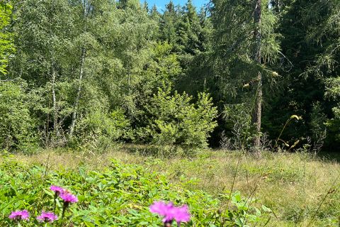 Terra a Collio, Brescia, Collio - € 159.000 | Ref: ATL01.004 - foto 22
