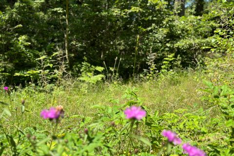 Terra a Collio, Brescia, Collio - € 159.000 | Ref: ATL01.004 - foto 23
