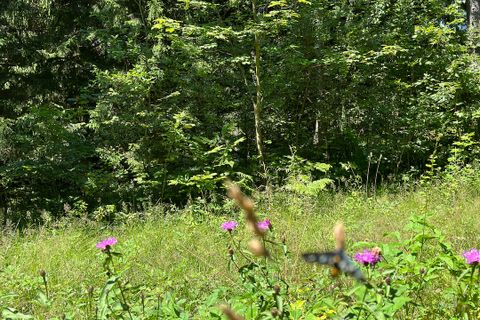 Terra a Collio, Brescia, Collio - € 159.000 | Ref: ATL01.004 - foto 24