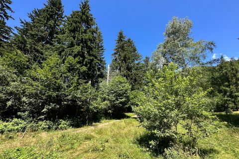 Terra a Collio, Brescia, Collio - € 159.000 | Ref: ATL01.004 - foto 25
