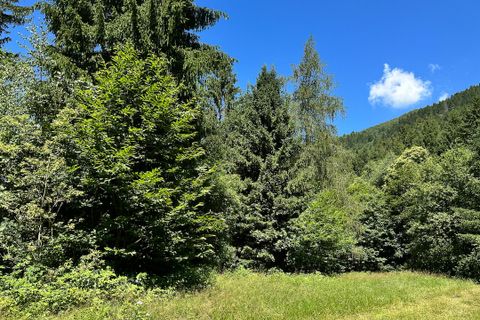 Terra a Collio, Brescia, Collio - € 159.000 | Ref: ATL01.004 - foto 33