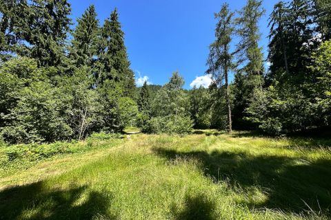 Terra a Collio, Brescia, Collio - € 159.000 | Ref: ATL01.004 - foto 35