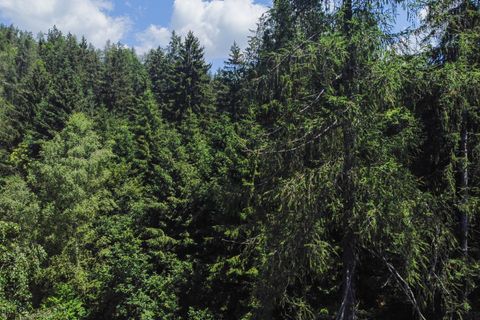 Terra a Collio, Brescia, Collio - € 159.000 | Ref: ATL01.004 - foto 37