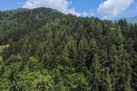 Terra a Collio, Brescia, Collio - € 159.000 | Ref: ATL01.004 - foto 42