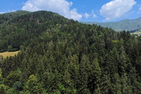 Terra a Collio, Brescia, Collio - € 159.000 | Ref: ATL01.004 - foto 43