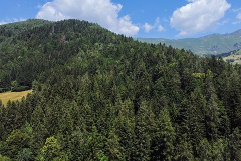 Terra a Collio, Brescia, Collio - € 159.000 | Ref: ATL01.004 - foto 44
