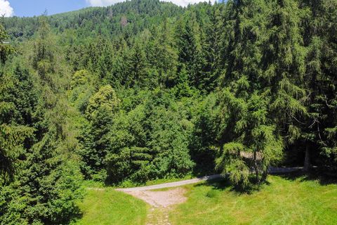 Terra a Collio, Brescia, Collio - € 159.000 | Ref: ATL01.004 - foto 48