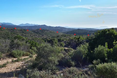 Tomt i Berchidda, Sassari, Berchidda - € 238 000 | Ref: CBI040-777-10150 - foto 2