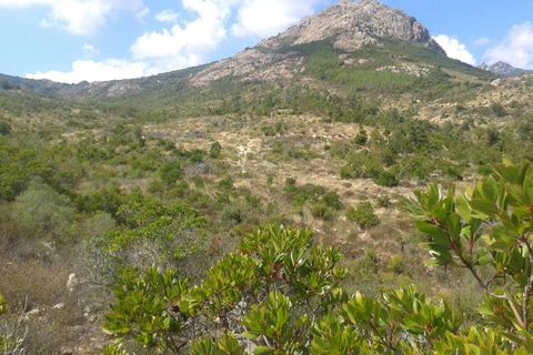 Tomt i Berchidda, Sassari, Berchidda - € 238 000 | Ref: CBI040-777-10150 - foto 4
