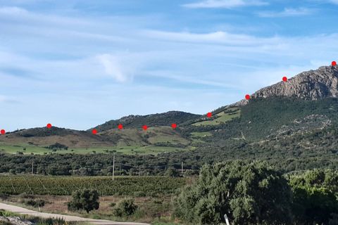 Tomt i Berchidda, Sassari, Berchidda - € 238 000 | Ref: CBI040-777-10150 - foto 10