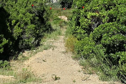 Tomt i Berchidda, Sassari, Berchidda - € 238 000 | Ref: CBI040-777-10150 - foto 26