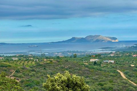 Villa i Olbia, Sassari, Olbia - € 590.000 | Ref: CBI040-775-10315 - foto 2