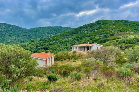 Villa i Olbia, Sassari, Olbia - € 590.000 | Ref: CBI040-775-10315 - foto 4