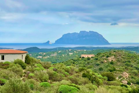 Villa i Olbia, Sassari, Olbia - € 590.000 | Ref: CBI040-775-10315 - foto 5
