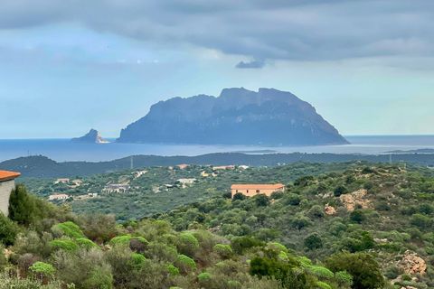 Villa i Olbia, Sassari, Olbia - € 590.000 | Ref: CBI040-775-10315 - foto 3