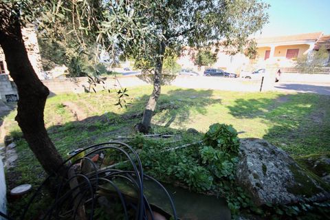 Helårsgrund i Telti, Olbia Tempio, Telti - € 50.000 | Ref: CBI040-777-10366 - foto 6