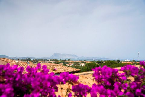 Rækkehus i San Teodoro, Sassari, San Teodoro - € 475.000 | Ref: CBI040-775-10463 - foto 3