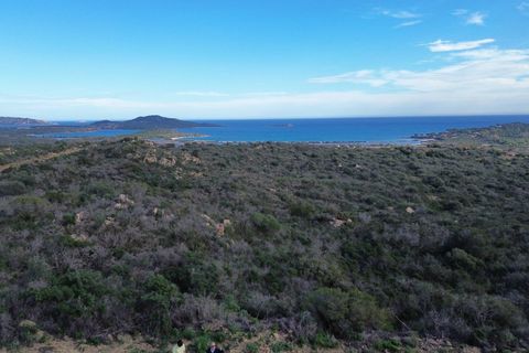 Helårsgrund i San Teodoro, Sassari, San Teodoro - € 295.000 | Ref: CBI040-778-10536 - foto 3