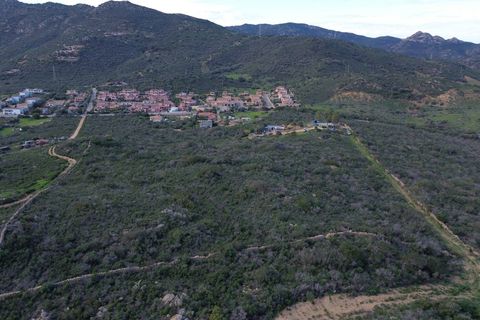 Helårsgrund i San Teodoro, Sassari, San Teodoro - € 295.000 | Ref: CBI040-778-10536 - foto 5