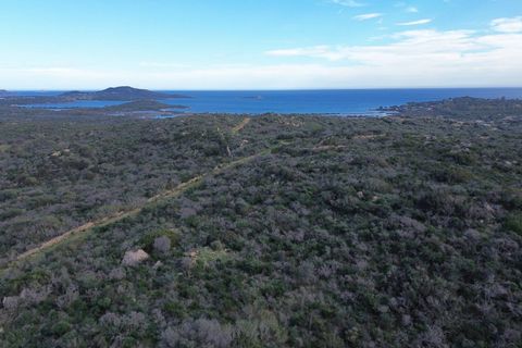 Helårsgrund i San Teodoro, Sassari, San Teodoro - € 295.000 | Ref: CBI040-778-10536 - foto 6