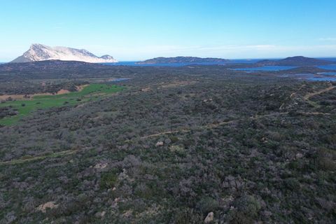 Helårsgrund i San Teodoro, Sassari, San Teodoro - € 295.000 | Ref: CBI040-778-10536 - foto 8