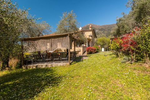 Landejendom i Camaiore, Lucca, Camaiore - € 1.500.000 | Ref: CBI129-1912-129918 - foto 38