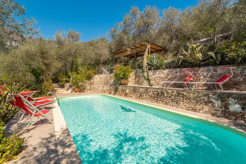 Landejendom i Camaiore, Lucca, Camaiore - € 1.500.000 | Ref: CBI129-1912-129918 - foto 41