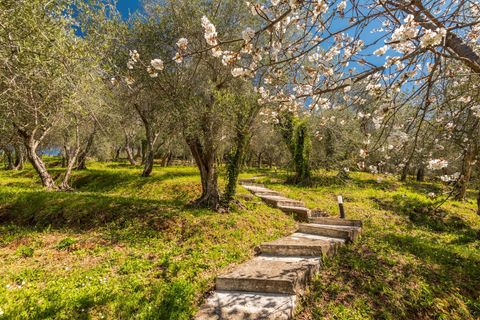 Landejendom i Camaiore, Lucca, Camaiore - € 1.500.000 | Ref: CBI129-1912-129918 - foto 45