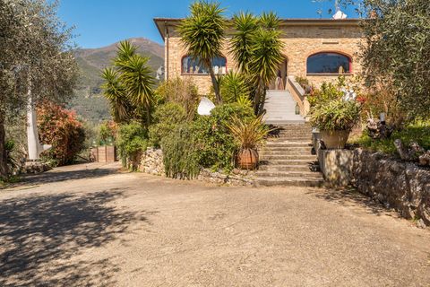 Landejendom i Camaiore, Lucca, Camaiore - € 1.500.000 | Ref: CBI129-1912-129918 - foto 47