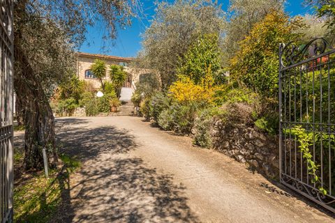 Landejendom i Camaiore, Lucca, Camaiore - € 1.500.000 | Ref: CBI129-1912-129918 - foto 48