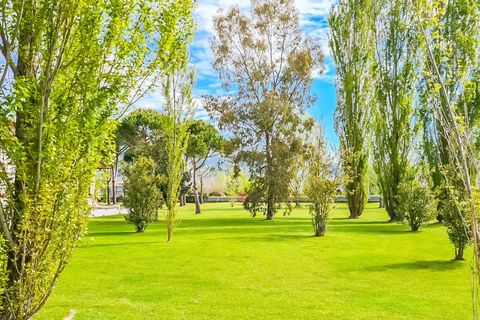 Villa i Pietrasanta, Lucca, Pietrasanta - € 1.950.000 | Ref: CBI129-1788-129926 - foto 2