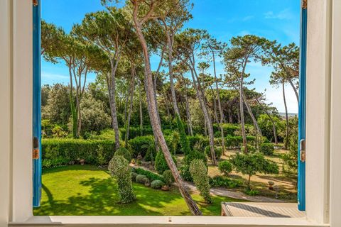 Villa i Massa, Massa and Carrara, Massa - € 8.500.000 | Ref: CBI129-1872-129931 - foto 31