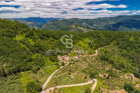 Villa i Lucca, Lucca, Lucca - € 490.000 | Ref: CBI129-1788-129953 - foto 8