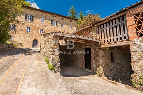 Villa i Lucca, Lucca, Lucca - € 490.000 | Ref: CBI129-1788-129953 - foto 30