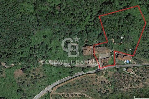 Villa i Lucca, Lucca, Lucca - € 490.000 | Ref: CBI129-1788-129953 - foto 31