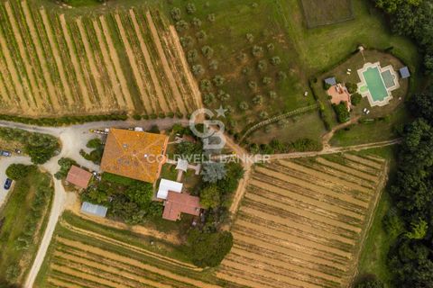 Farm i Montecarlo, Lucca, Montecarlo - € 1.690.000 | Ref: CBI129-1788-129962 - foto 3