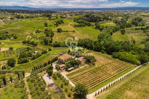 Farm i Montecarlo, Lucca, Montecarlo - € 1.690.000 | Ref: CBI129-1788-129962 - foto 4