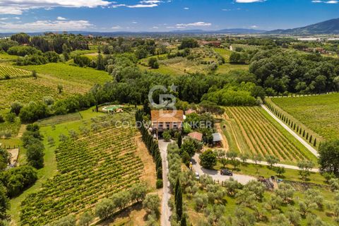 Farm i Montecarlo, Lucca, Montecarlo - € 1.690.000 | Ref: CBI129-1788-129962 - foto 5