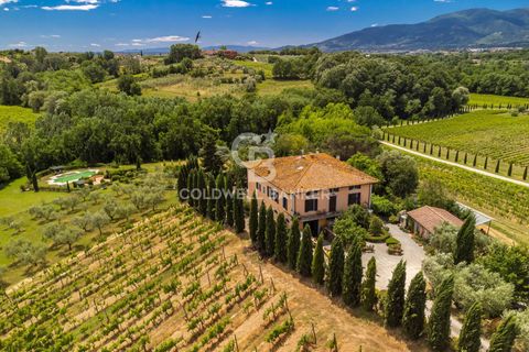 Farm i Montecarlo, Lucca, Montecarlo - € 1.690.000 | Ref: CBI129-1788-129962 - foto 6
