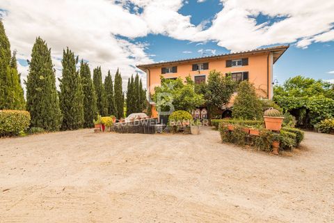 Farm i Montecarlo, Lucca, Montecarlo - € 1.690.000 | Ref: CBI129-1788-129962 - foto 9