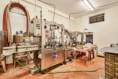 Farm i Montecarlo, Lucca, Montecarlo - € 1.690.000 | Ref: CBI129-1788-129962 - foto 13