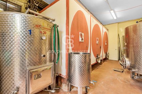 Farm i Montecarlo, Lucca, Montecarlo - € 1.690.000 | Ref: CBI129-1788-129962 - foto 14