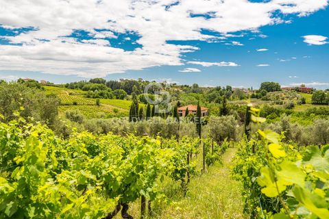 Farm i Montecarlo, Lucca, Montecarlo - € 1.690.000 | Ref: CBI129-1788-129962 - foto 15