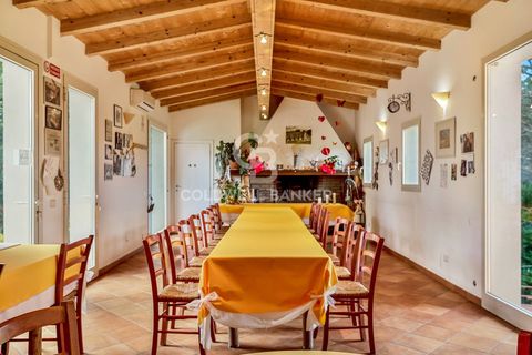 Farm i Montecarlo, Lucca, Montecarlo - € 1.690.000 | Ref: CBI129-1788-129962 - foto 19
