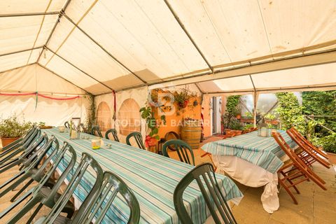 Farm i Montecarlo, Lucca, Montecarlo - € 1.690.000 | Ref: CBI129-1788-129962 - foto 20