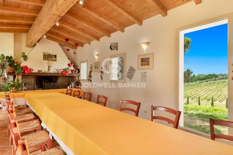 Farm i Montecarlo, Lucca, Montecarlo - € 1.690.000 | Ref: CBI129-1788-129962 - foto 21
