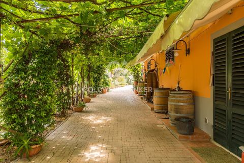Farm i Montecarlo, Lucca, Montecarlo - € 1.690.000 | Ref: CBI129-1788-129962 - foto 23