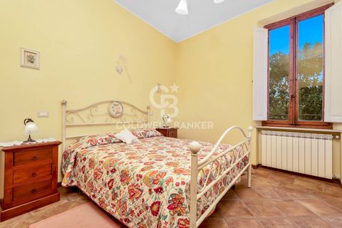 Farm i Montecarlo, Lucca, Montecarlo - € 1.690.000 | Ref: CBI129-1788-129962 - foto 24